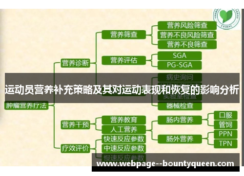运动员营养补充策略及其对运动表现和恢复的影响分析